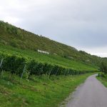 ©Harald Henkel CC BY-NC 2.0